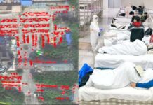 ม.ฮาร์วาร์ดชี้ “โควิด” ระบาดนานแล้ว หลังพบการจราจร “หนาแน่น” ที่ร.พ.อู่ฮั่น ตั้งแต่หน้าร้อนปี 2562