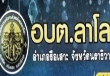 ต้องลงโทษให้เป็นเยี่ยงอย่าง! คุก 2 ปี 6 เดือนอดีตนายก อบต.ลาโละตัดต้นพะยอมขาย 5 พันบ.