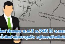 ขมวด‘ที่มา’ปมสอบ น.ส.3 ก.746 ไร่ จ.กระบี่ บ.น้ำมันปาล์มตระกูลดัง อยู่ในเขตป่าหรือไม่?