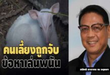พิรุธชัดติดพนันหนี้สินเพียบ! สั่งย้ายด่วน ‘คนเลี้ยง’ ลูกเก้ง พร้อมตั้งกก.สอบวินัยทันที