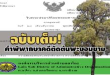 คำพิพากษาฉบับเต็ม! ลงโทษให้เป็นเยี่ยงอย่าง อดีตนายก อบต.ลาโละ ตัดต้นพะยอมขาย