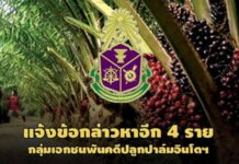 ป.ป.ช.แจ้งข้อกล่าวหาอีก 4 รายคดีปาล์มอินโดฯ คนลงนาม บ.นายหน้า-‘ธนกร นันที’โดนด้วย