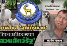 ชวลิต ชูขจร : อานิสงส์ ลูกเก้งเผือกหาย ถึงเวลาล้างระบบ ‘สวนสัตว์รัฐ’