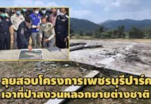 ‘ดีเอสไอ’ ลุยสอบโครงการเพชรบุรีปาร์ค หลังโดนร้องเอาที่ป่าสงวนหลอกขายต่างชาติ
