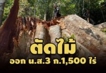 DSI ลงพื้นที่สอบรุกป่า ตัดไม้ออก น.ส.3 ก.1,500 ไร่ อ.ศรีสาคร จ.นราธิวาส