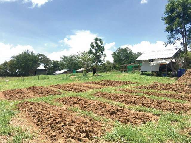 ที่ดิน-ทำไร่