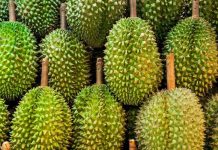 เจาะแผนรัฐบาล ป้องผลไม้แสนล้าน เอาอยู่-ไม่อยู่?