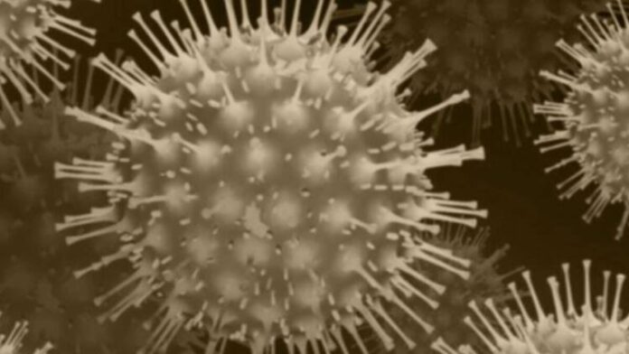 AA