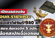 เปิดผลสอบลับ อบต.ราชาเทวะซื้อเสาไฟกินรี 940 ล. – สตง.คุ้ยเจอ 5 อปท. ล็อกสเปกเอื้อเอกชน