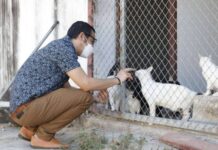 TSPCA วอนหยุดทิ้งสัตว์ โดยไม่มีเหตุอันควร