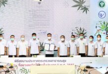 ปลูกกัญชาในบ้านได้แล้ว’อนุทิน’ลงนามประกาศปลดล็อกออกจากยาเสพติดประเภท5 มีผลหลังประกาศในราชกิจจาฯ 120 วัน
