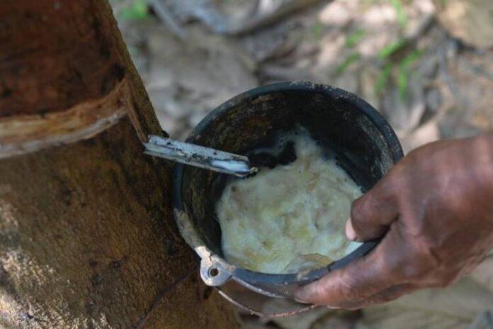 THAILAND-CHANTHABURI-NATURAL RUBBER-PRICE