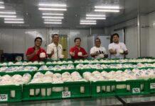 RCEP มีผลบังคับใช้ครบ 15 ประเทศสมาชิก หลังฟิลิปปินส์ประกาศใช้เป็นประเทศล่าสุด