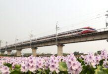 ‘ทางรถไฟจีน-ลาว’ ขนส่งผู้โดยสารข้ามพรมแดนทะลุ 4 หมื่นคน