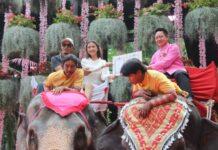 ที่นี่มีรัก สวนนงนุชพัทยา จัดงานจดทะเบียนสมรสบนหลังช้าง วันแห่งความรัก ต่อเนื่องปี 14
