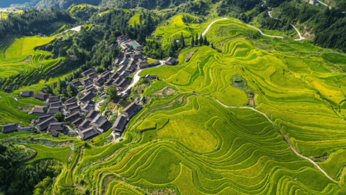 (802_30042024) SW China's autonomous prefecture carries forward ethnic culture with innovation (1)_0