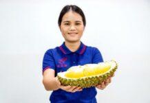 (คลิป) การเดินทางของ ‘ทุเรียนไทย’ สดใหม่จากสวนสู่ตลาดจีนในไม่กี่วัน