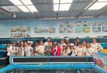 คณะผู้บริหารทรีทาวน์พัทยา นำพนักงานจัดกิจกรรม CSR คืนสิ่งแวดล้อมสู่ทะเลไทย