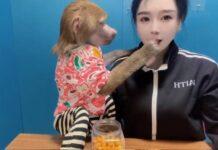 (คลิป) ชาวเน็ตใจละลาย! ‘ลิงบาบูน’ โชว์ความน่ารัก-แสนรู้ ไวรัลดังในจีน