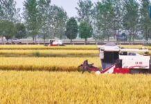 (คลิป) จีนพัฒนาการเกษตรแบบอัจฉริยะด้วยระบบนำวิถีเป่ยโต่ว