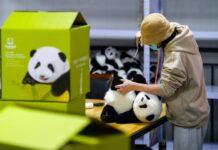 ตุ๊กตา ‘แพนด้า’ ฝีมือจีน ขายทั่วโลกกว่า 50,000 ตัวแล้ว