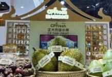 ‘ทุเรียนไทย’ ส่งกลิ่นหอม ดาวเด่นงาน CIIE ครั้งที่ 7