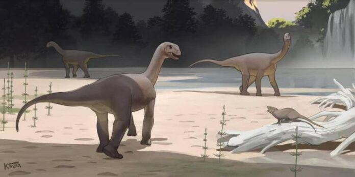 CHINA-XIZANG-DINOSAUR-TRACK SITES-FOSSILIZED FOOTPRINT-DISCOVERY (CN)