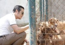 เลขา TSPCA เตือนไฟไหม้สถานที่ขายสัตว์เลี้ยง แก้ได้ถ้าจริงใจ