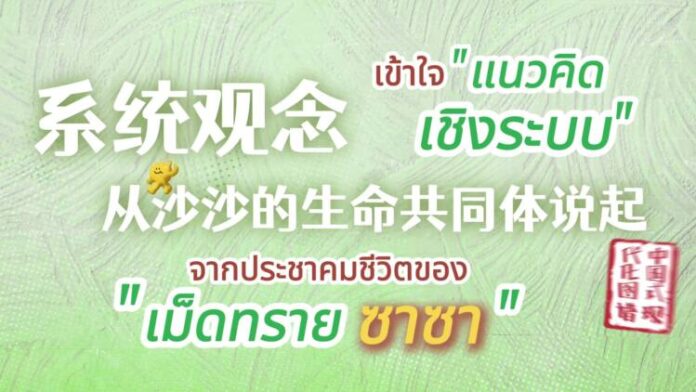 แผนภาพความทันสมัยแบบจีน (1)