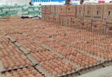 ไข่ไก่ออกสู่ตลาด44.52 ล้านฟอง/วัน “พาณิชย์”ยันยังเพียงพอต่อความต้องการ ราคายังอยู่ในเกณฑ์ที่กำกับดูแล