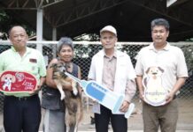 TSPCA เตือนโรคแอนแทรกซ์ระบาด