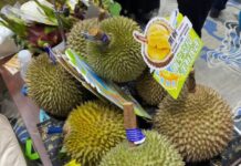 (คลิป) “หนานหนิง” ศูนย์กลางเชื่อมสัมพันธ์ตลาดผลไม้อาเซียน – จีน