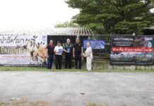 เลขา TSPCA ชี้ทำบุญต้องไม่ทารุณสัตว์ ทิ้งสัตว์เป็นต้นทางแห่งการทารุณ