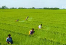 การพัฒนาร่วมกันเป็นยุทธศาสตร์ในการรับมือกับความท้าทายระดับโลก