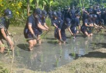 วิทยาลัยพยาบาลกองทัพเรือ จัดฝึกอบรม หลักสูตรการปฏิบัติ และดูงาน เศรษฐกิจพอเพียง