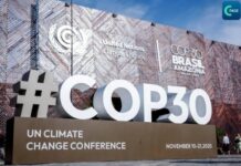 จีนประกาศจุดยืนในเวที COP 30 พร้อมเดินหน้าขับเคลื่อนเศรษฐกิจสีเขียวของโลก