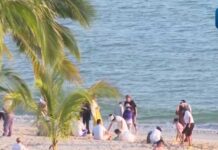 (คลิป) ปริมาณการเดินทางของคนจีนแผ่นดินใหญ่สูงขึ้นในปี 2025