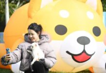 เพราะรักเหมือนลูก! สัตว์เลี้ยงสี่ขาร่วมฉลองตรุษจีน กระตุ้นใช้จ่ายหลายมิติคึกคักในจีน