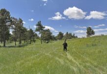 บทวิเคราะห์ จีนก้าวขึ้นเป็นต้นแบบการพัฒนาสีเขียวของโลกได้อย่างไร