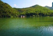 (คลิป) สภานิติบัญญัติจีนกำลังพิจารณาร่างกฎหมายระบบนิเวศและสิ่งแวดล้อม