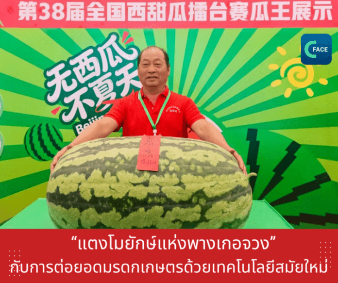 “แตงโมยักษ์แห่งพางเกอจวง” กับการต่อยอดมร