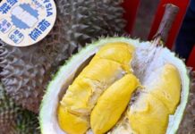 ผู้ประกอบการชี้ ความต้องการทุเรียนของตลาดจีน ยังห่างไกลจากจุดอิ่มตัว
