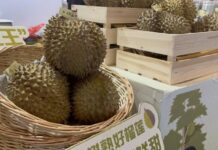 “สินค้าไทย” โชว์ศักยภาพกลางเวทีจีน–เอเชียใต้ ครั้งที่ 10 ร่วมขับเคลื่อนการค้า นวัตกรรม และความร่วมมือระดับภูมิภาค