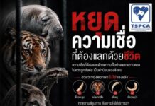 TSPCA รณรงค์หยุดความเชื่อที่ต้องแลกมาด้วยชีวิตสัตว์