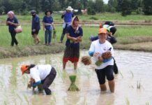 จิตอาสาบึงกาฬรวมพลัง ลงแขกดำนา “ดำนาวันแม่ เกี่ยววันพ่อ” สืบสานวิถีเกษตรไทย สร้างพลังสามัคคีชุมชน