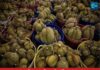 ทุเรียนไทยเจอโจทย์ใหม่ในตลาดจีน เมื่อคู่แข่งอาเซียนเพิ่มขึ้น