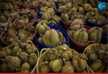 ทุเรียนไทยเจอโจทย์ใหม่ในตลาดจีน เมื่อคู่แข่งอาเซียนเพิ่มขึ้น