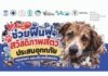 TSPCA เร่งช่วยสัตว์ติดค้างพร้อมเตือนโรคในสัตว์ที่เกิดจากน้ำท่วม
